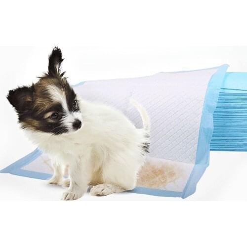 20pcs Pet Training Pads Disposable Toilet Paper Absorbent Puppycat Diaper Deodorant Cleaning Mats Supplies Accessories 33*45cm