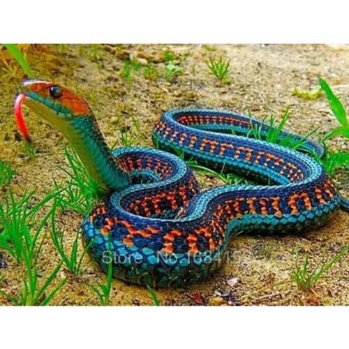 5D Full Diamond Painting Cross Stitch Kit Diy Diamond Embroidery animals snake Pattern Diamond Mosaic Rhinestone decor A59