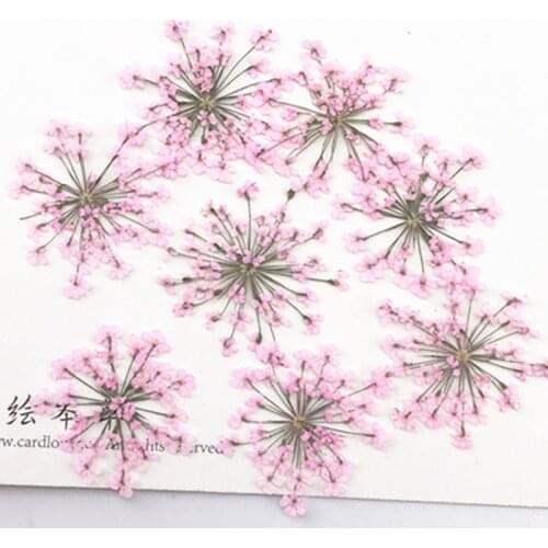 Wedding accessories party lace flower Dried flower press flower specimen Wholesale free shipment 1 lot/10bags(120pcs)