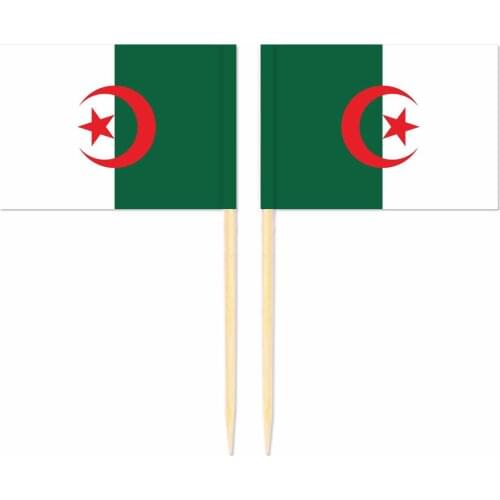 Algeria Toothpick Flag 3.5X2.5CM Cake Topper Party Cupcake Wedding Baby Shower Supplies Lovely Baking Dessert Decorations