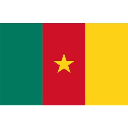Cameroon Flag Yehoy hanging 90*150cmFor Decoration
