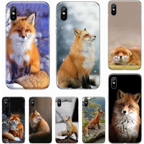 Red fox cute animal Phone Case For iphone 12 5 5s 5c se 6 6s 7 8 plus x xs xr 11 pro max mini