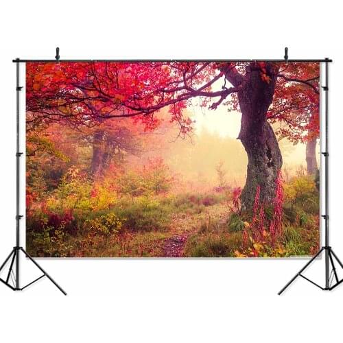 SeekPro Vinyl forest scene Birthday wedding Banner photo Backgrounds Printed Professional Indoor Photographic studio Backdrops
