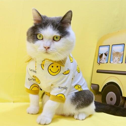 Pet Dog Clothes with bag dogs Sweatshirt For Small Dogs Casual Puppy Cat Costumes French Bulldog Bichon Clothing