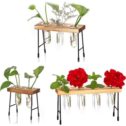 Mini Glass Transparent Tube Shape Bonsai Flower Vase Plant Pot Hydroponic Terrarium Container Holder with Wood Retro Stand