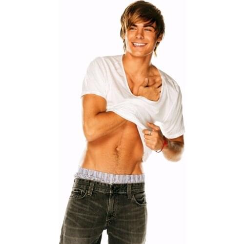 Home Decor Zac Efron Movie Actor Star 4-Silk Art Poster Wall Sticker Decoration Gift