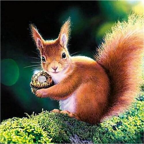 5d diy diamond painting squirrel pattern 3d diamond mosaic animal sticker full square rhinestone home decoration