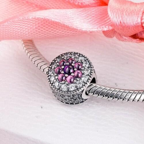 Dazzling Floral Mixed Cz Charm Silver 925 Beads for Jewelry Making DIY Gift for Girl Female Student Sister Summer Collection