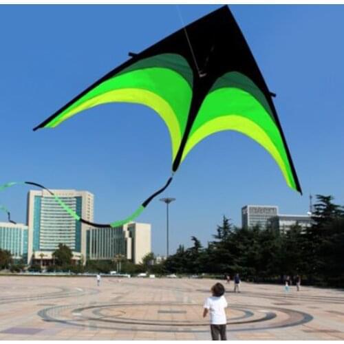 Colorful Life Delta Kite for Kids Adults Outdoor Sports Entertainment Family Holiday Parent-child Activities Supplies