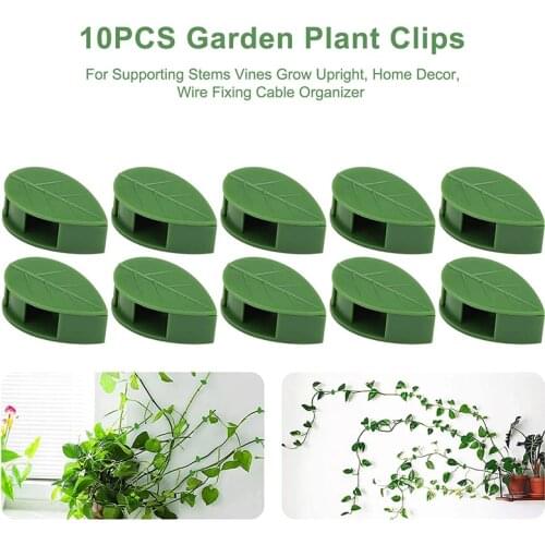 10/20pcs Plant Fixture Clip Plant Climbing Wall Self-Adhesive Fastener Tied Fixture Vine Buckle Hook Garden Plant Wall Climbing