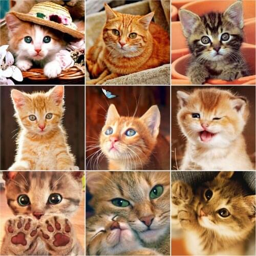 AZQSD 5D Diamond Painting Cat Full Drill Square Needlework Diamond Embroidery Sale Animal Picture Of Rhinestones Handmade Gift