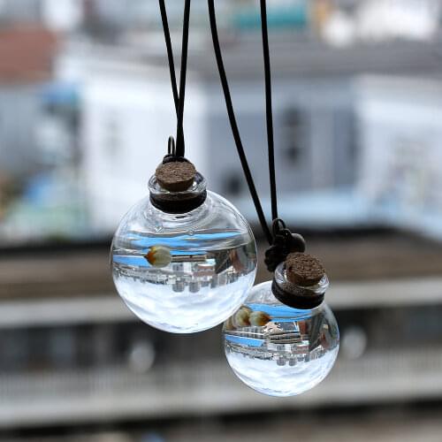 New Flower Ornament Essential Oils Auto Ornament Perfume Pendant Empty Hanging Bottle Home Cleaning Tools Decor Household