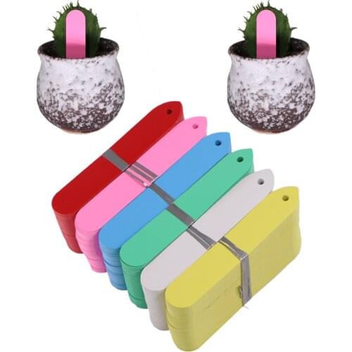 100PCS Plant labels 1.8x10cm Garden perforated plastic waterproof uv resistant reusable Vegetable Potted