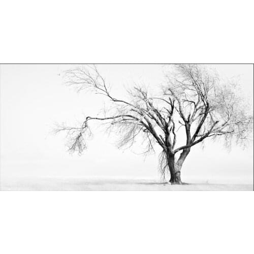 Natural Black and White Forest Tree Landscape Canvas Painting Scenery Posters and Prints Wall Art Picture For Living Room Decor