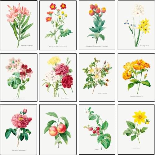 Vintage French Plant Illustrations Botanical Posters Wildflower Canvas Painting and Prints Wall Art Pictures for Room Home Decor