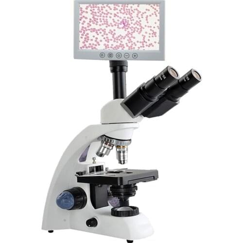 1000X-1600X Professional electronic digital HD Biological Lab Microscope