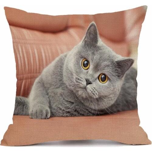 XUNYU Cute Bule Cat Pillow Case Sofa Square Decorative Pillow Cover Animal Cushion Cover 45X45cm AC152
