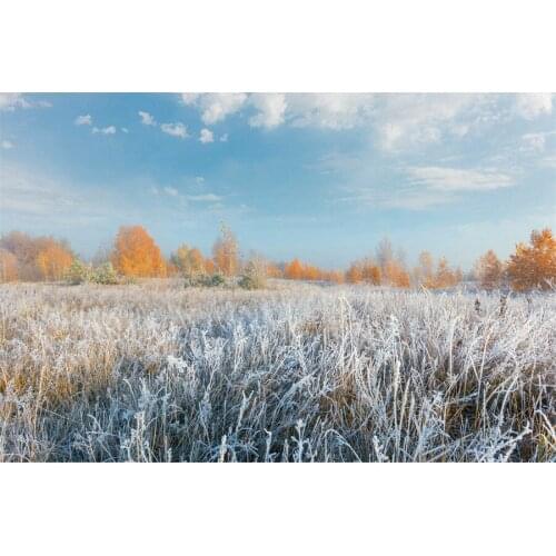 Autumn Frosty Landscape Photo Backdrops Grassland Forest Photography Backgrounds Baby Children Home Backdrops For Photo Studio