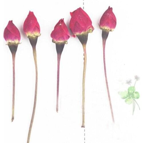 120pcs Red Dried 3D Rose Buds Flower Plant Herbarium For Jewelry Craft Making Accessories