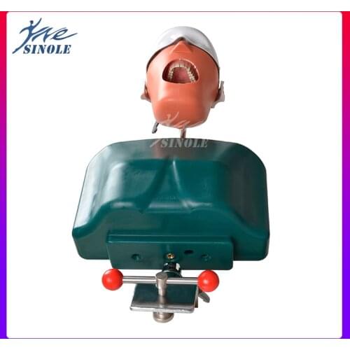 Oral teaching model Training Simulator Simulator Head Model With Chair For Dentist Teaching teeth model