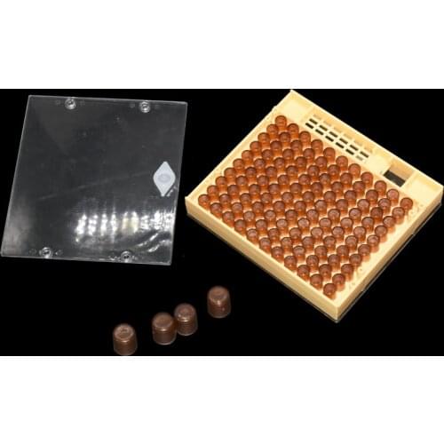 1set Beekeeping Queen Rearing Cupkit Box 125x Brown Cell CupsSystem Tools Bee Keeper Apiculture Beekeeping supplies