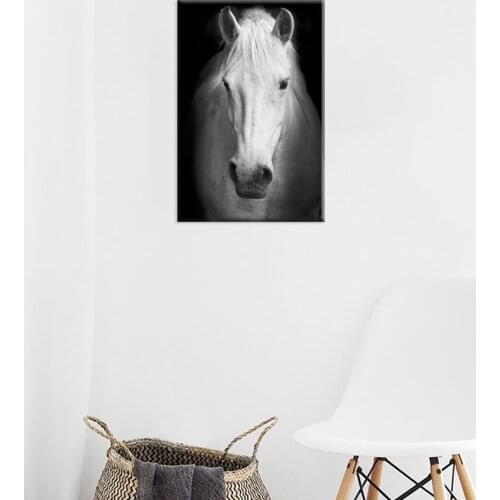 Modern White Horse On Black and White Wall Art Background Canvas Paintings on Canvas HD Printed Picture to Photo Drop shipping