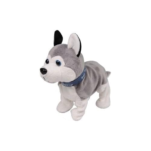 Dingdian Pet Supplies