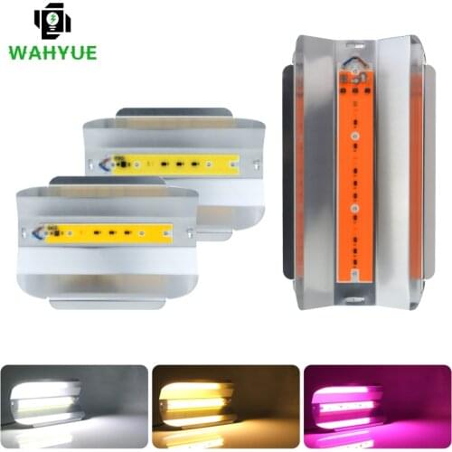 LED Floodlight 30W 50W 80W COB Flood Light 220V Waterproof Grow Light Full Spectrum Outdoor Reflector Hydroponics Light Grow