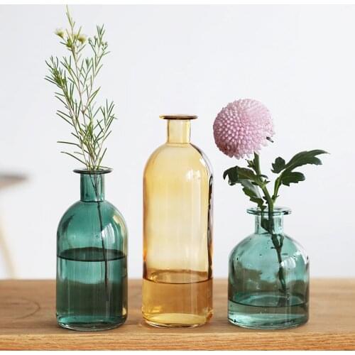 Mini Classic Multicololr Glass Vases INS Tabletop Flower Pot Decoration Home Nordic Dried Transparent Hydroponic Small Bottle