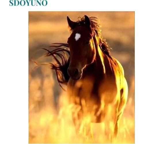 SDOYUNO Oil Paint By Numbers Kits Animals Painting By Numbers On Canvas Frameless 60x75cm Horse Hand Painting DIY Home Decor