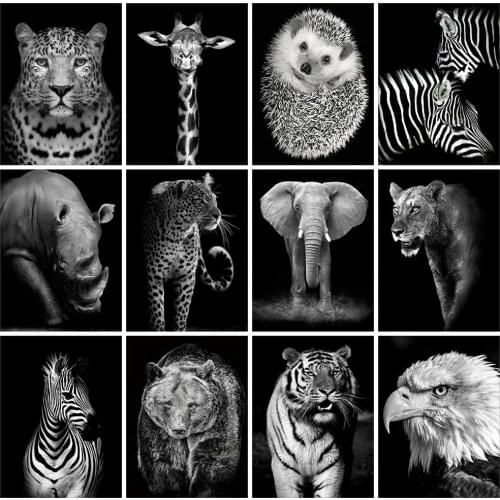 Huacan Diamond Painting Full Square New Arrival Elephant Mosaic Black And White Animal Home Decoration