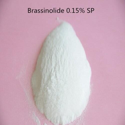 1KG water soluble Brassinolide 0.15%SP /Natural Brassinolide C28H48O6 CAS 72962-43-7 plant nutrition rooting high quality