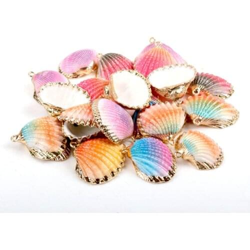 5 designs Gold plating DIY conch Colorful Natural Seashells Decorations Scallop conch Crafts Decor Ornament 5Pcs