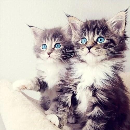 Diamond Painting Twin Kittens Full Drill Mosaic DIY Diamond Painting Cross Stitch Embroidery Home Decorative Craft