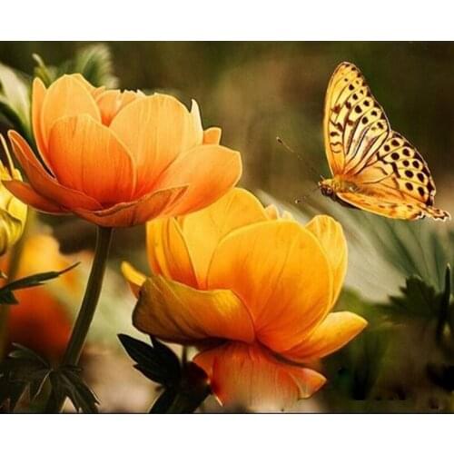 DIY Digital Painting By Numbers Package Yellow butterfly oil painting mural Kits Coloring Wall Art Picture Gift frameless