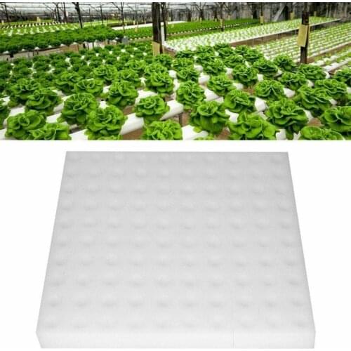 Hydroponic Sponge Planting Gardening Tool Seedling Sponges For Greenhouse