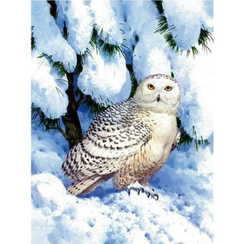 5d diy diamond painting full square owl snow picture mosaic sticker 3d diamond embroidery home decor gift 50x60cm