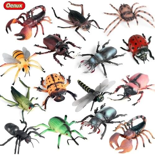 Oenux Classic Insect Animals Model Spider Bee Scorpion Dragonfly Action Figures Figurine PVC High Quality Educational Kids Toy