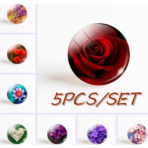 5PCS/SET Daisy Rose Sakura Photo 16/20/30mm Fashion Jewelry Glass Cabochon Jewelry Accessories Handmade Charm Women Gifts