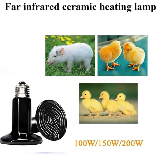 3PCS warm ceramic lamp for snakes turtle heating 100w reptile 75mm e27 pet chicken brooder lamp heater heating reptiles products