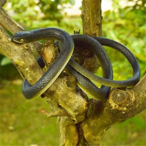 Large Realistic Rubber Snakes Model Toys Halloween Scary Toy Fake Black Mamba Snake 53in Party Masquerade Decoration