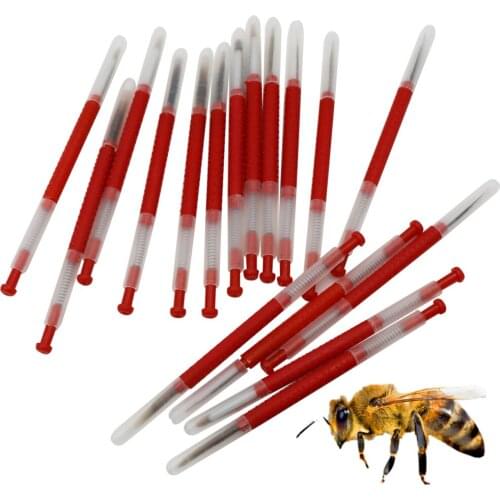 50 Pcs Honeybee Equipment Beekeeping Move Worms Needle Tool Mobile Pen Bee Supplies Export-Type Move Worm Breeding Bee Tools