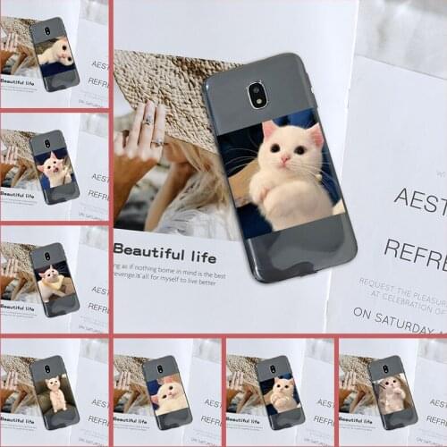 Case For Samsung Galaxy J4 J6 J8 Plus 2018 J3 J5 J7 2015 2016 2017 Kawaii Cat Cute Animal Cover Case For Samsung J2 J5 J7 Prime