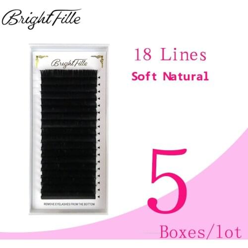5 Boxes Eyelash Extensions C D Curl Soft Natural Light Faux Mink Individual Lashes Extensions Supplies Professional Salon Use