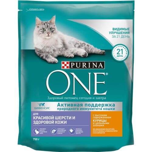 Purina One Dry Food For Cats