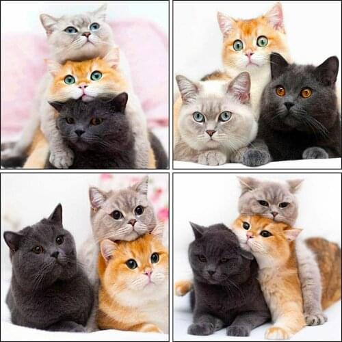 5D Diy Full Drill Diamond Painting Cute Cat Animal Square Round Diamond Mosaic Embroidery Cross Stitch Kit Home Decor Kids Gift