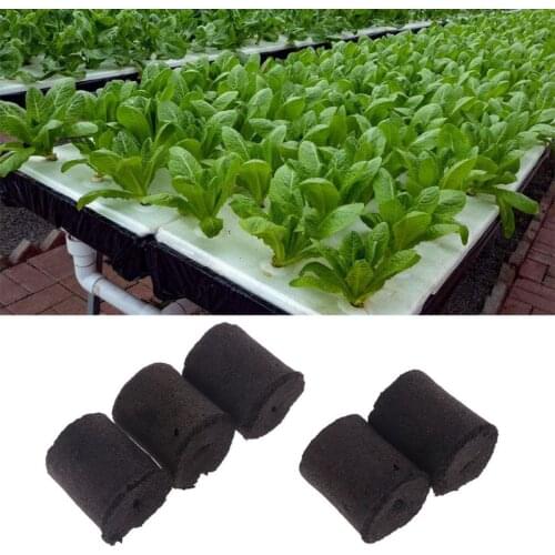 5Pcs Peat Pellets Seed Nursery Starting Plugs Pallet Seedling Soil Block