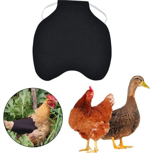 Adjustable Pet Hen Chicken Saddle Apron Pet Vest Chicken Clothes Feather Back Protector Single Strap Standard Chicken Jackets