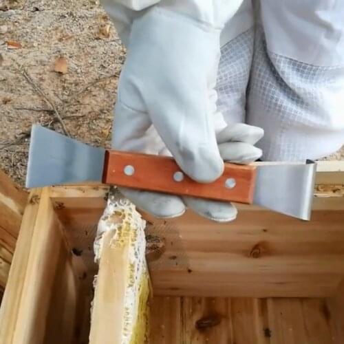Stainless Steel Double Handle Beekeeping Beehive Scraper Head Equipment Beekeepers Wood Garden Supplies
