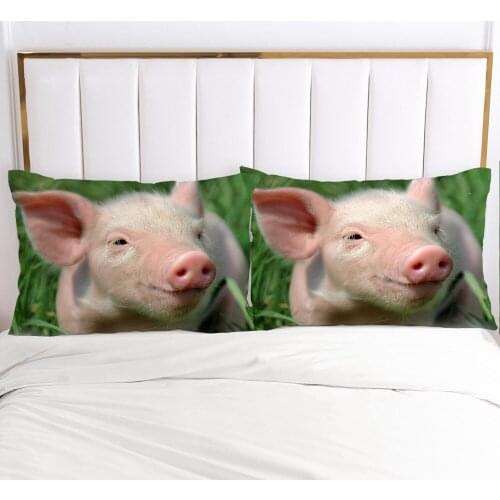 3D Printed Pillowcases Pets Pillow Case Soft Home Chair Decorative Pillow Covers Cover Scorpion 45x45cm 50x75 Pig